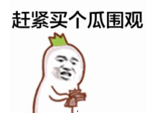 网红吃瓜群众账号大全,揭秘网络红人的幕后世界