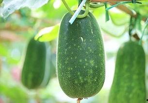 五一网吃瓜网,揭秘五一假期热门事件背后的真相