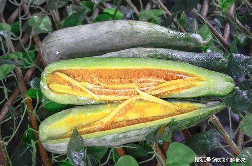 内蒙网红dy吃瓜,揭秘草原上的网络风云