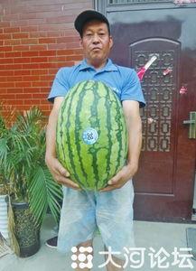 51大赛吃瓜网安全吗,揭秘平台安全性，守护用户信息安全