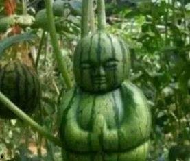 昆明某网红吃瓜事件真相,真相背后竟是这样！