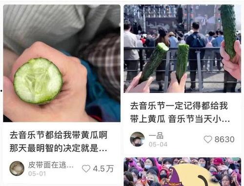 最近爆火吃瓜文学网,揭秘娱乐圈幕后真相，带你领略网络热点的魅力