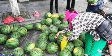 杭州网红打架吃瓜