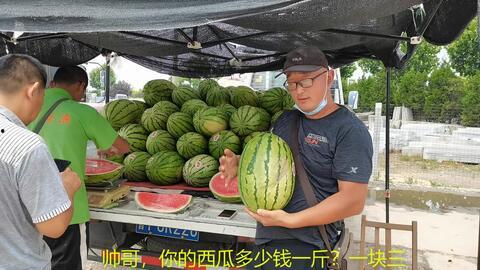 杭州网红打架吃瓜