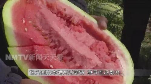 老王吃瓜官网首页进入