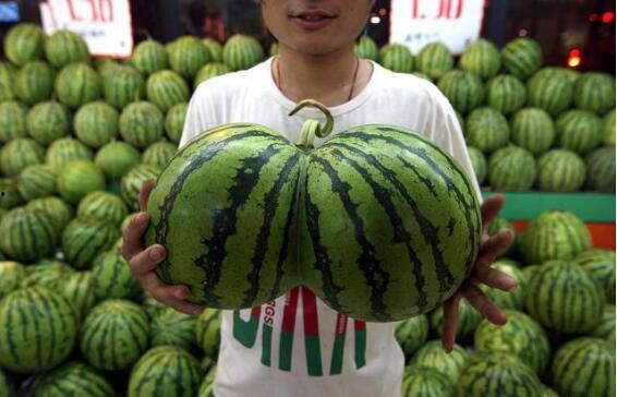 人人吃瓜官网朝阳,人人吃瓜官网揭秘