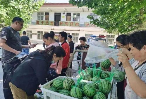 泗阳网红街吃瓜群众视频,吃瓜群众视角下的烟火人间