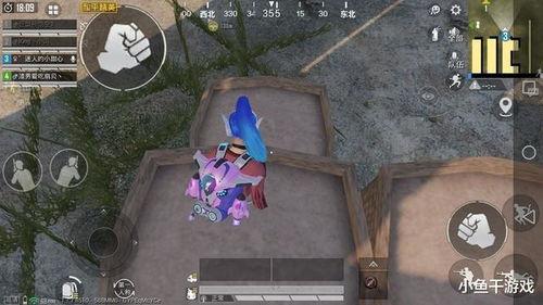 剑网三吃瓜小板凳在哪买,揭秘购买攻略与收藏心得