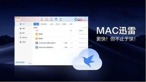 迅雷云盘分享网红吃瓜,迅雷云盘分享背后的精彩瞬间