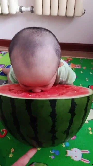 小叮当一家吃瓜网,揭秘娱乐圈幕后故事