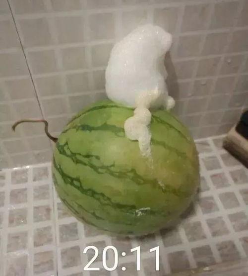 泡泡吃瓜网ptcg,揭秘卡牌游戏的魅力与策略