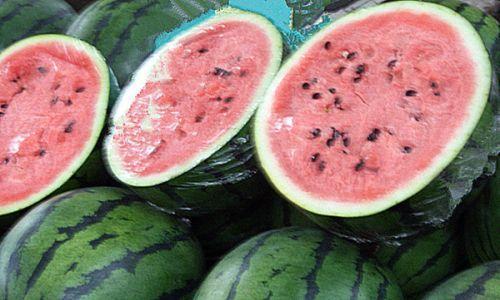 zztt25su吃瓜网,带你领略网络八卦的魅力