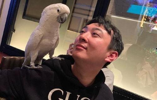 早期网红吃瓜事件,网络舆论的狂欢与反思