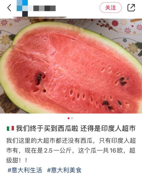 国外哪个网吃瓜,真相与舆论的碰撞