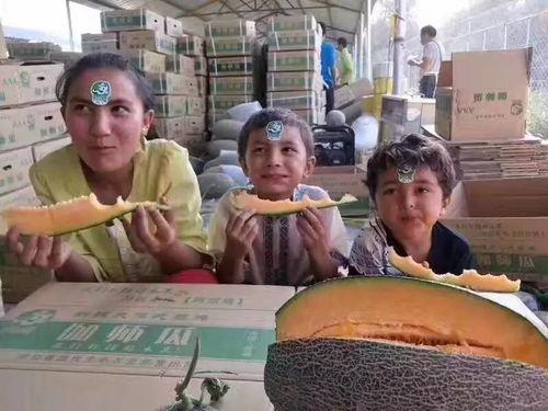 柳州局长吃瓜网,揭秘网络热传事件背后的真相