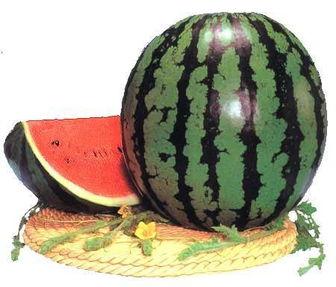 多人吃瓜网,多人吃瓜网背后的故事与真相