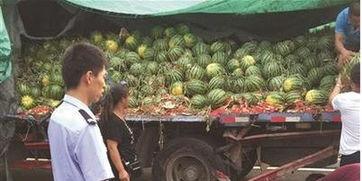 宁夏网红吃瓜事件真相揭秘