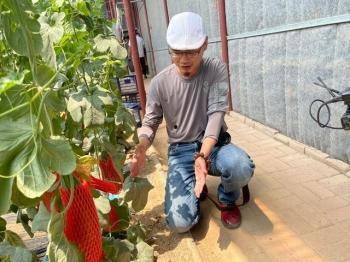 网红打卡地学校吃瓜