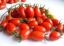 快手网红圣女果吃瓜,揭秘快手美食背后的故事