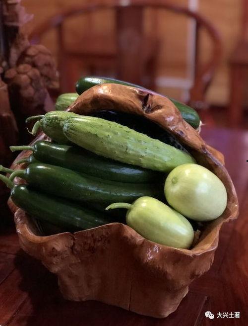 网红吃瓜制品,揭秘网络红人美食新宠