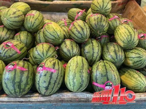 荷兰网红吃瓜视频大全集,揭秘荷兰网红圈那些事儿