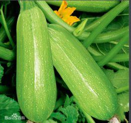 荷兰网红吃瓜视频大全集,揭秘荷兰网红圈那些事儿