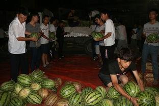 梁山网红景点吃瓜视频,揭秘幕后故事与热门话题