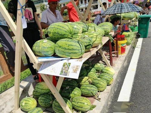 梁山网红景点吃瓜视频,揭秘幕后故事与热门话题