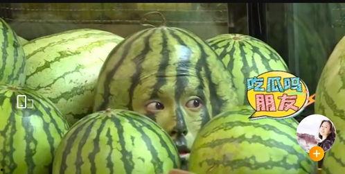 吃瓜女网红康县,揭秘网络红人的幕后生活