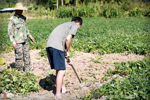 恩平网红吃瓜群众是谁,揭秘恩平网红“吃瓜群众”背后的故事