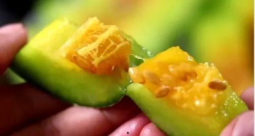 网红福利吃瓜免费,吃瓜免费，惊喜连连等你来