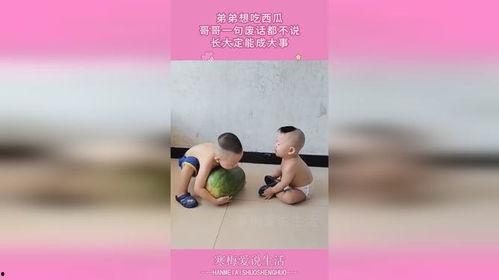 一起吃网红瓜的说说句子,一起品味网络热议背后的故事