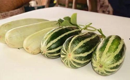 各种网红吃瓜视频下载,揭秘娱乐圈幕后故事