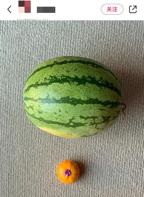 吃瓜网官网线路全球,畅享全球资讯，尽在掌握