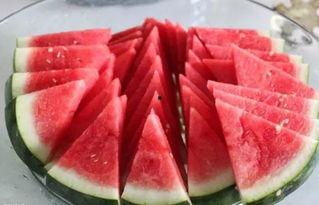 黑瓜吃料网老板