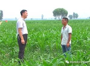 滑县吃瓜网最新消息,最新热点事件大揭秘！