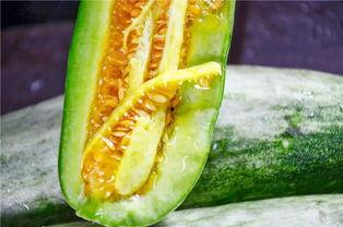 求个网红吃瓜网站是什么,网红吃瓜网站背后的秘密与热门事件追踪