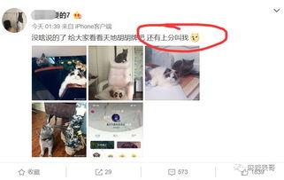 网红故事圈带你吃瓜,带你一探“吃瓜”背后的故事