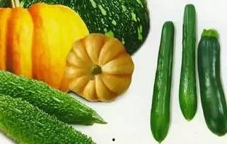 吃瓜网的首页是什么,带你领略最新热点资讯