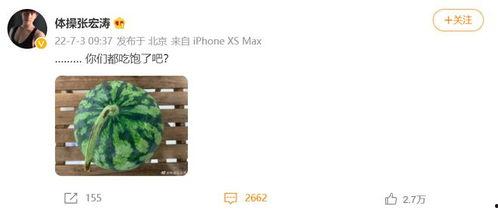 吃瓜网张宏涛,揭秘娱乐圈幕后故事