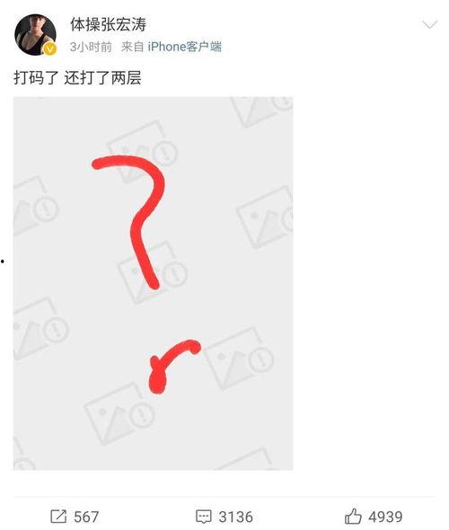 吃瓜网张宏涛,揭秘娱乐圈幕后故事