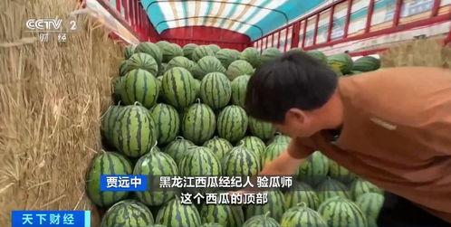 718娱乐吃瓜官网入口,独家入口带你畅游娱乐热点