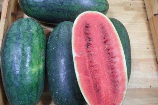 17草吃瓜网黑料爆料,黑料爆料背后的真相与争议