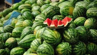 17草吃瓜网黑料爆料,黑料爆料背后的真相与争议