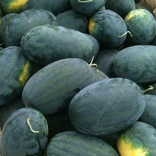 51黑瓜吃料网怎么举报