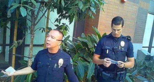 网红警察视频吃瓜,趣味执法背后的温馨瞬间