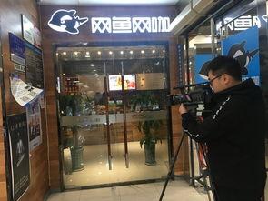 百脑汇吃瓜百脑汇网红,揭秘网红背后的故事